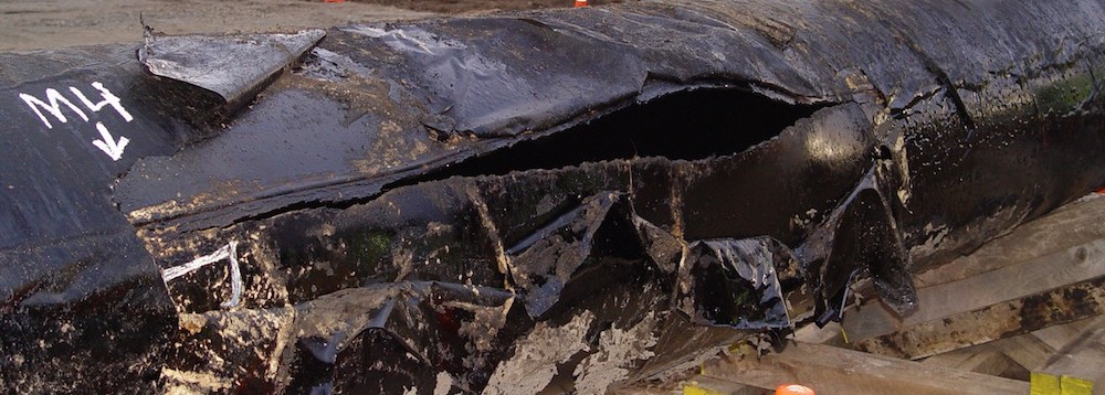 “Crude Behavior”: the new NWF report