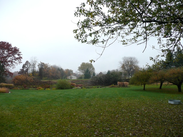 Clearing: before and after