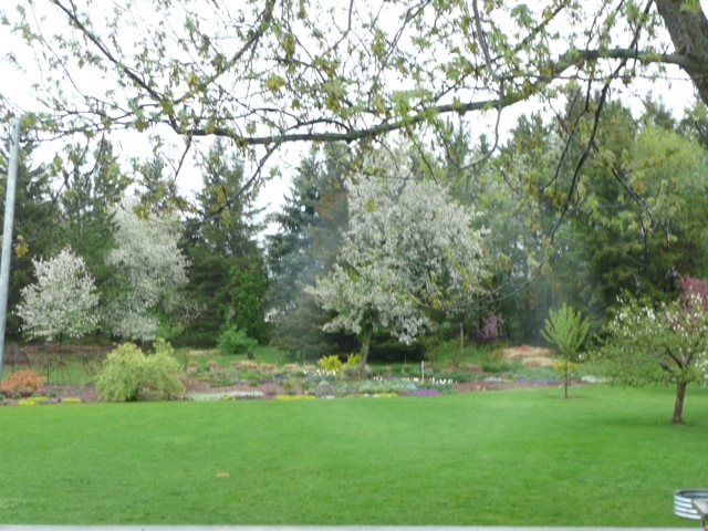 Livingston county condemnation hearings