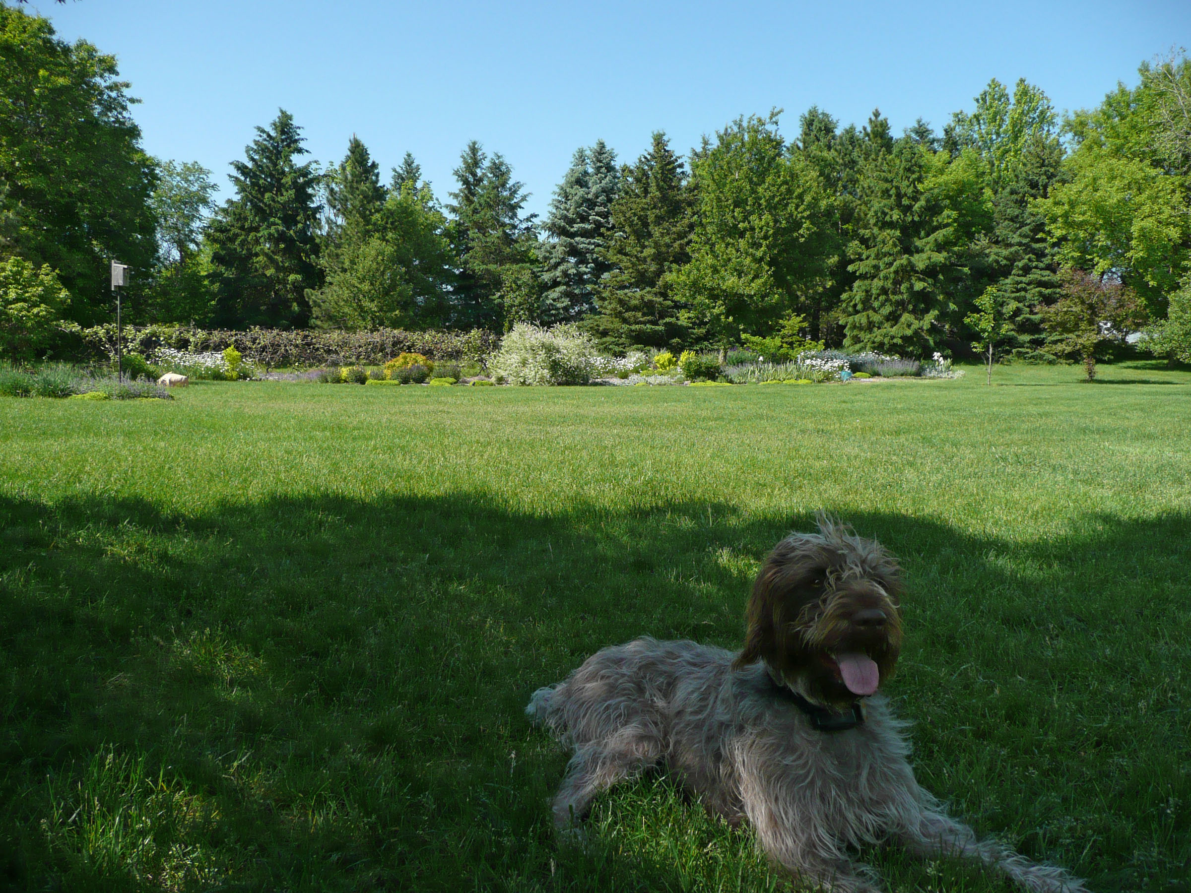 POLAR lawsuit now a federal case