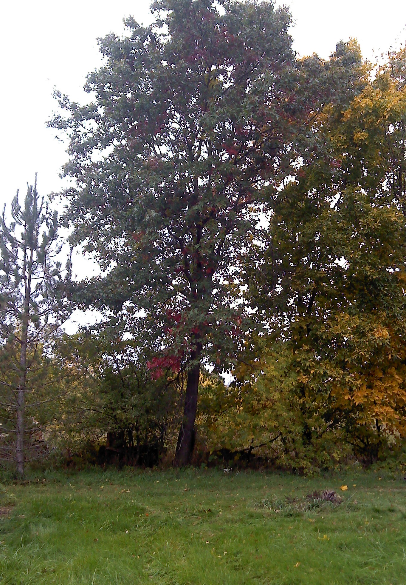 What’s Enbridge doing in Capac?