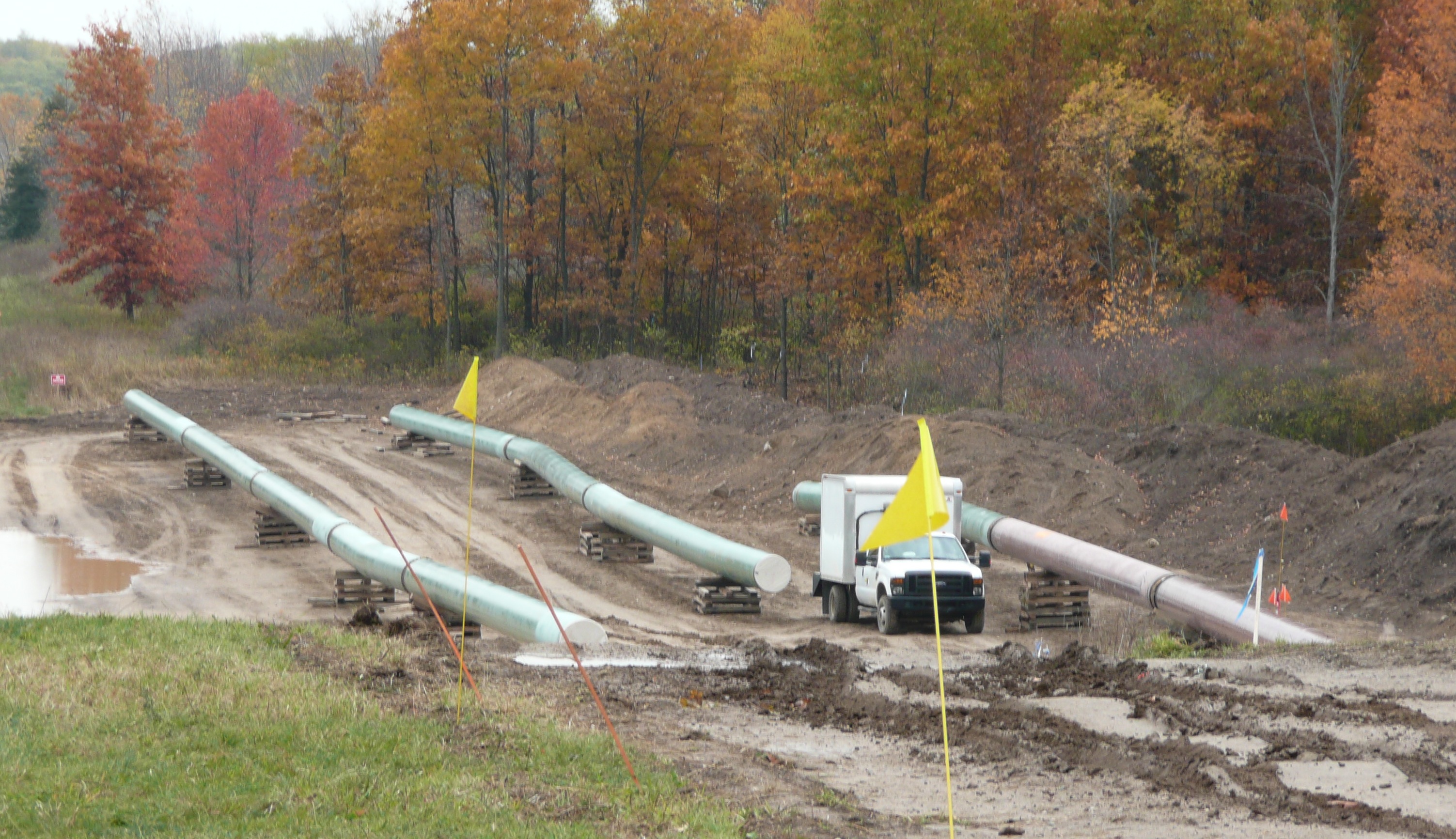 Our new series: Phase 2 Proceedings