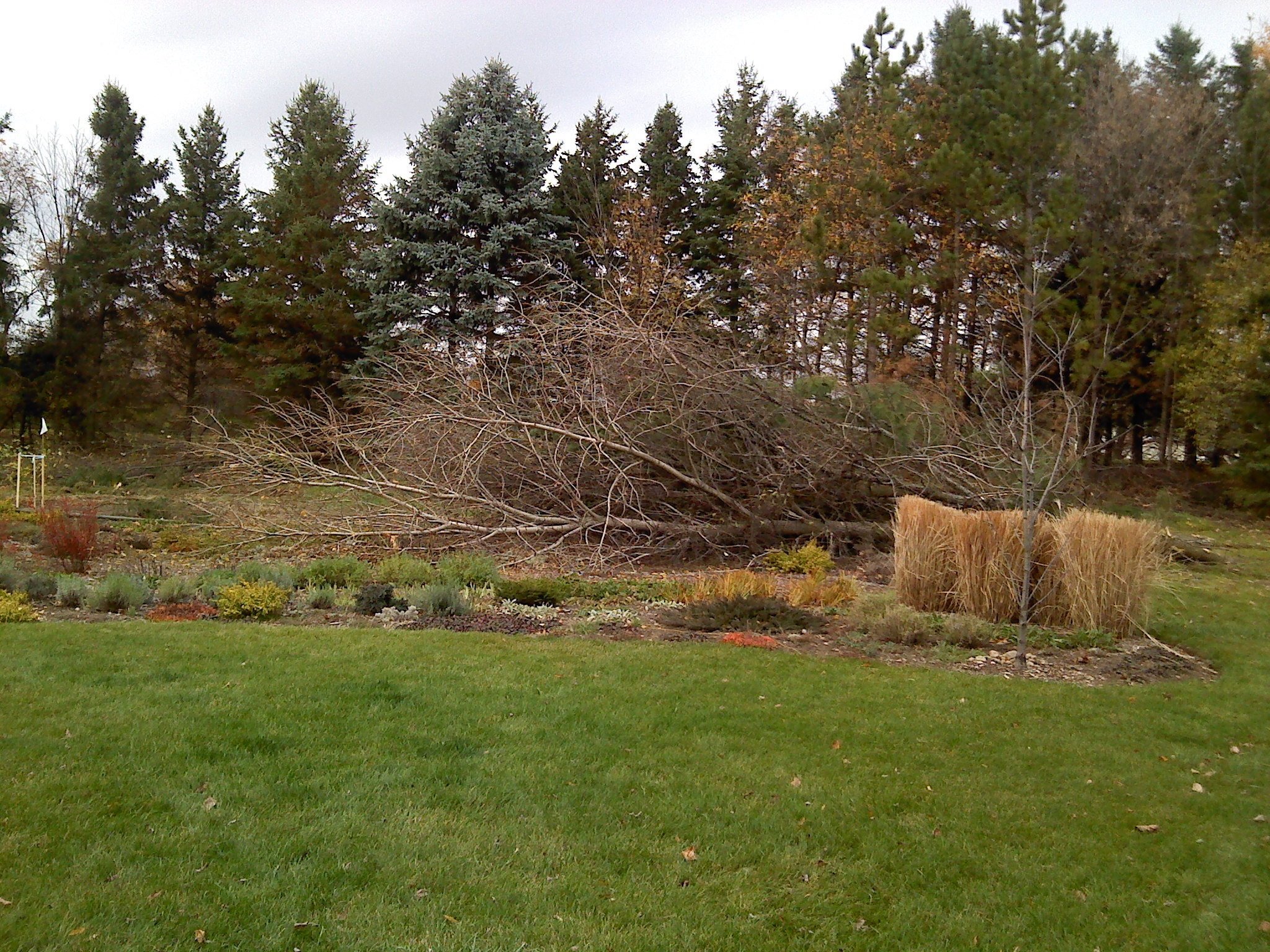 Our conversation with an Enbridge VP- Teaser