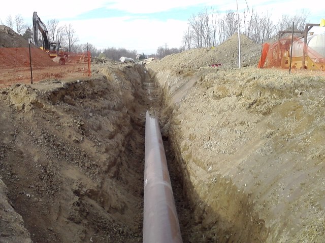 File under: ridiculous