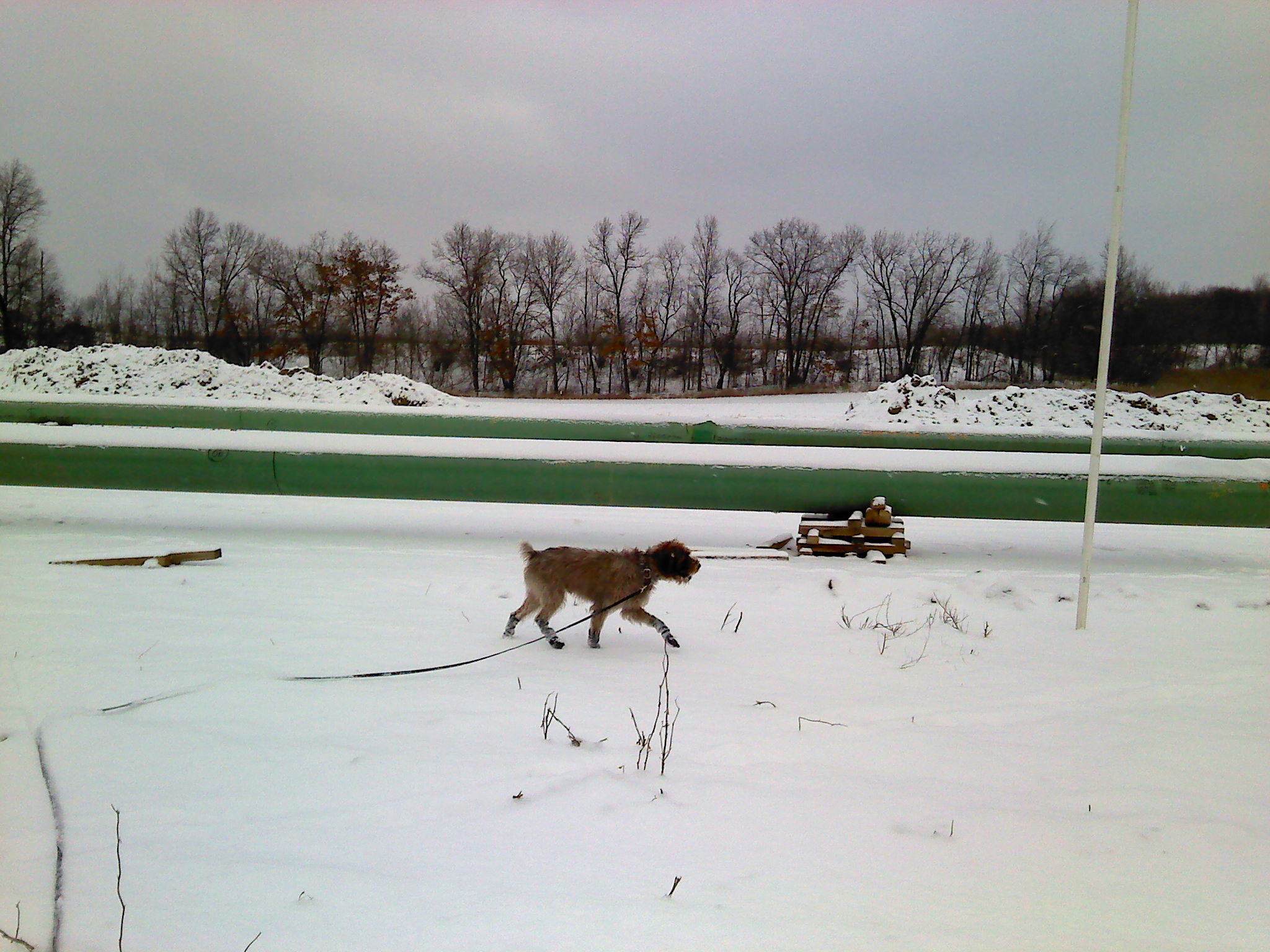 The Real Red Herring(s)