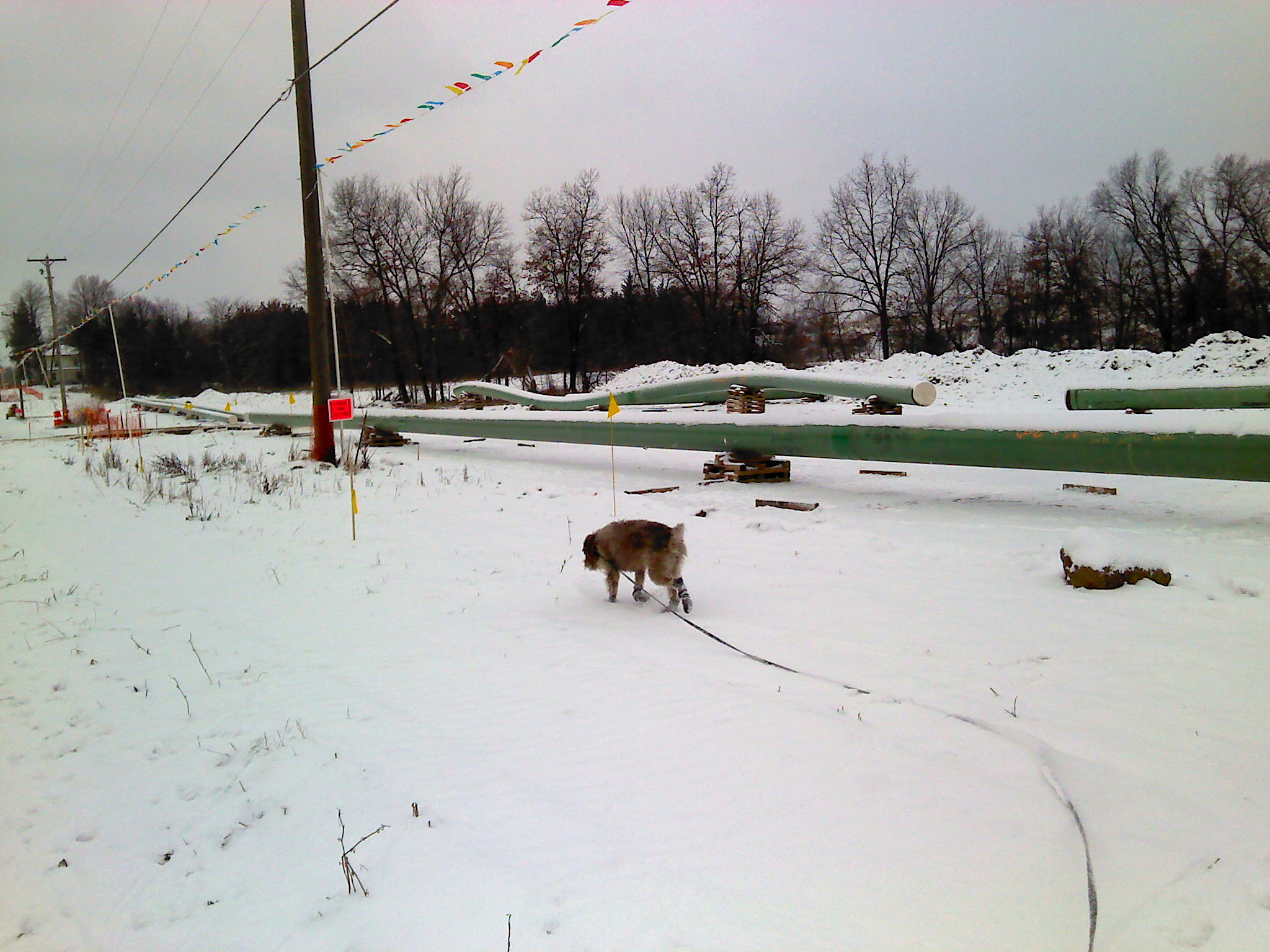 Phase Two proceedings, Part 3