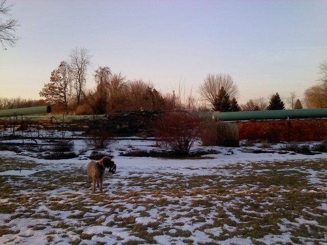 “Just write the damn checks!”