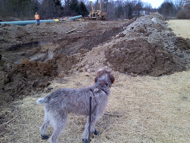 Line 5, Line 6B: I Told You So