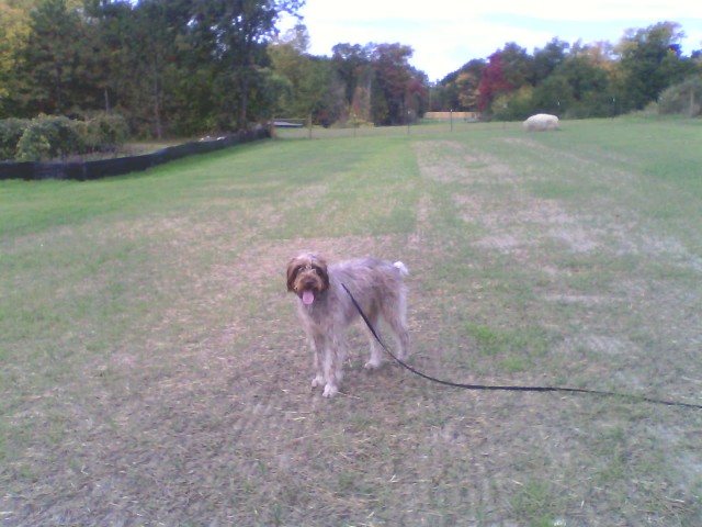 In which we finally declare our allegiance