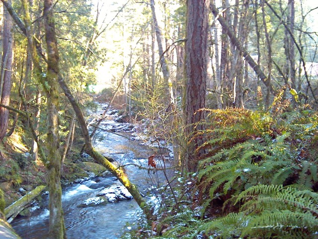 Minor tax update and more