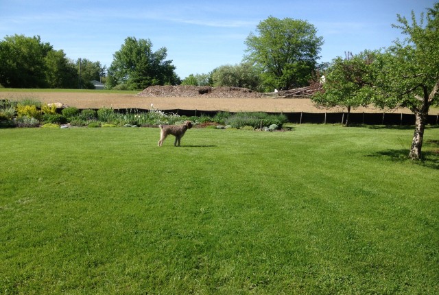 No One at Enbridge Knows Anything