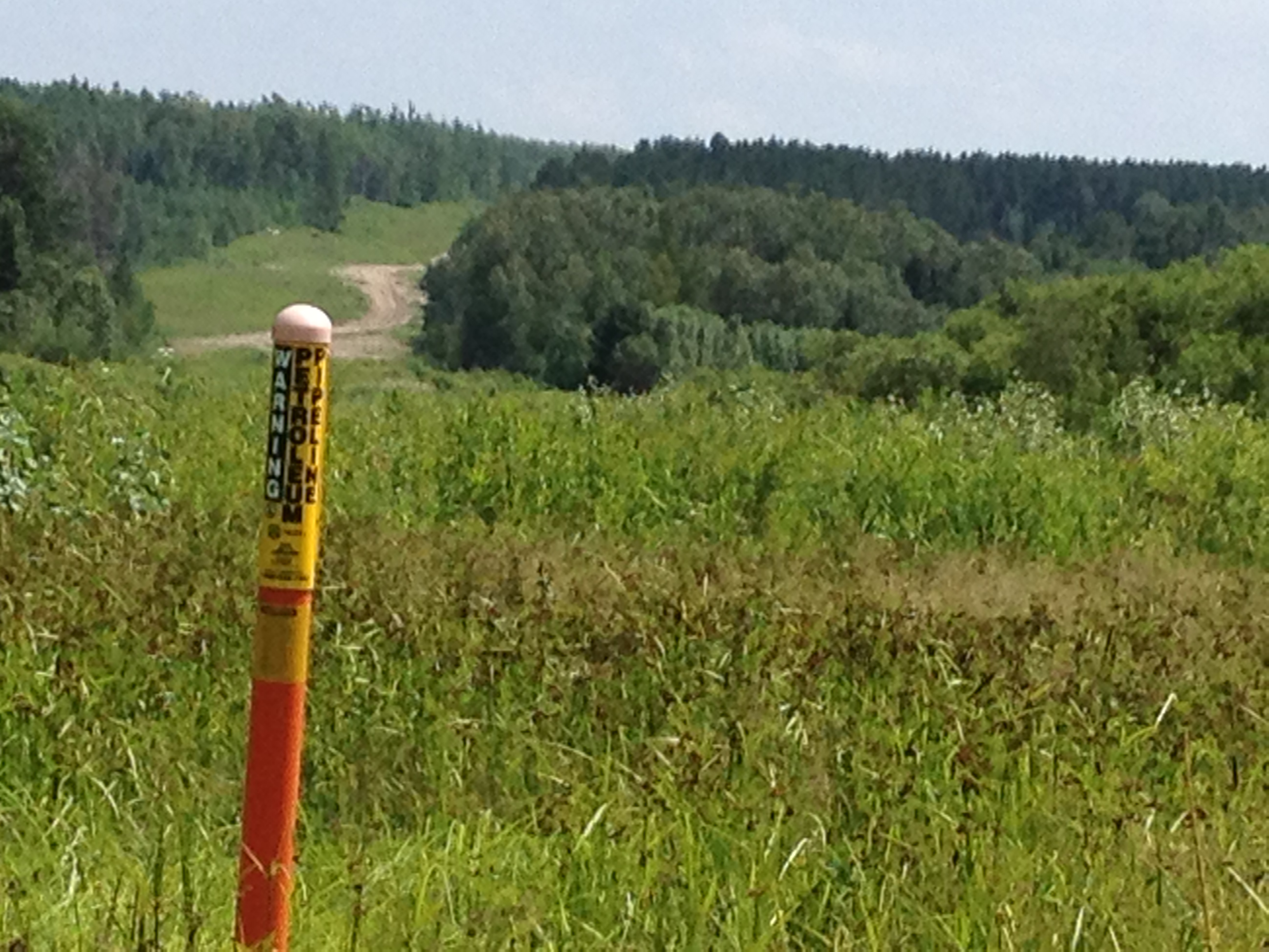 “A meaningful discussion starts with the facts”