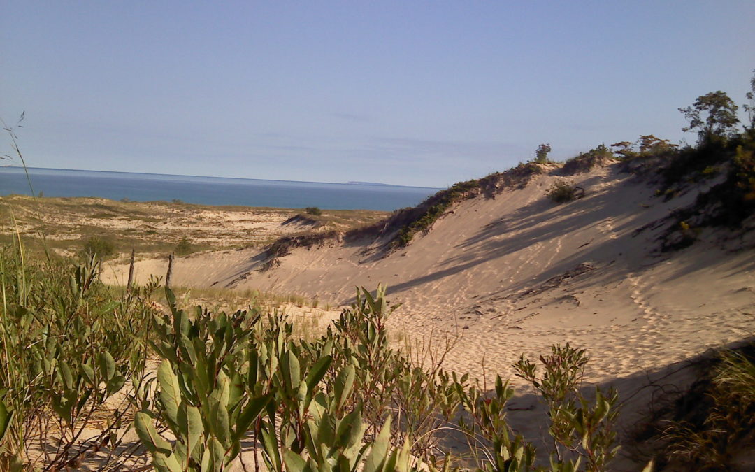 A Bad Week for Democracy in Michigan