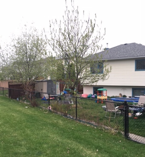 On Backyards, Property, and New Mythologies of Belonging