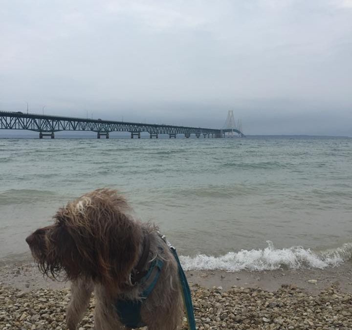 MPSC Line 5, Post-Mortem, pt. 2