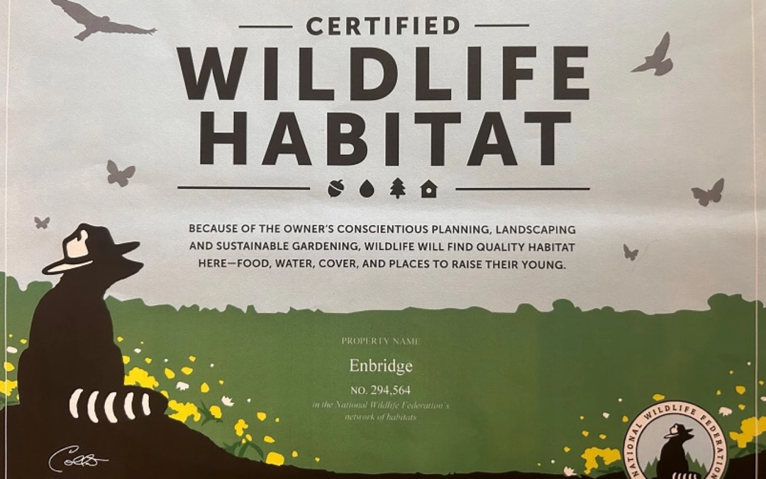 You Can’t Believe Anything Enbridge Says, Part– well, I’ve lost count